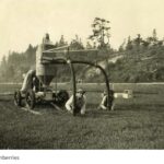 To the Bogs and Back-Bandon
